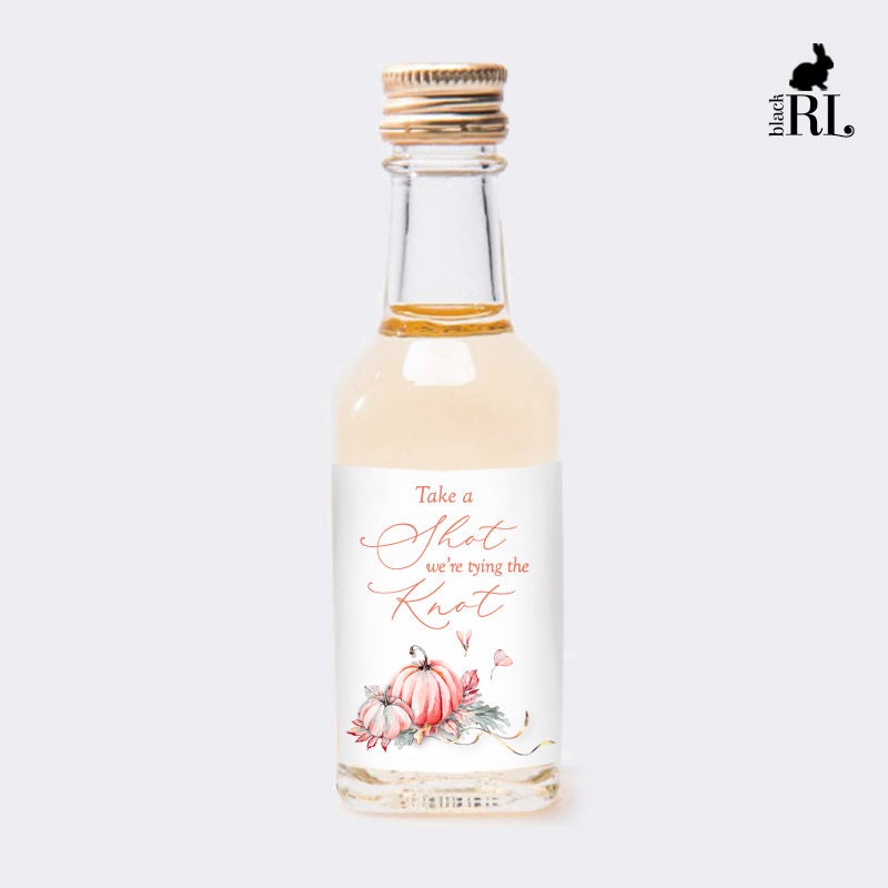 Printed Mini Liquor Bottle Labels / Fall Pumpkins - FP21